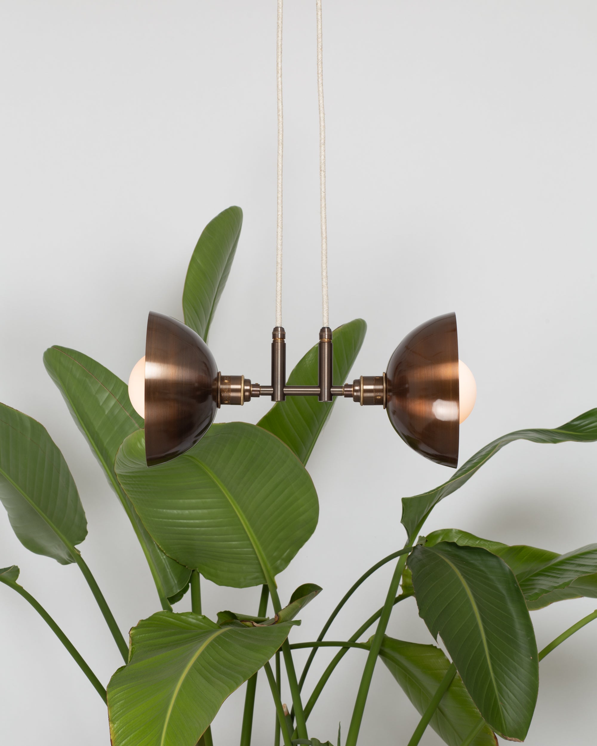 Double Bronze Dome Suspension