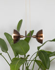 Double Bronze Dome Suspension